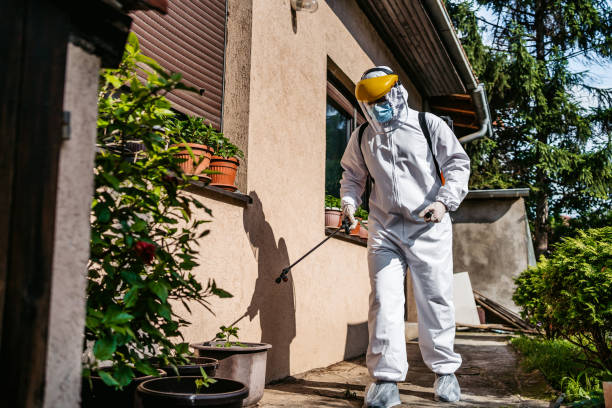 Best Pest Removal Services  in Brillion, WI
