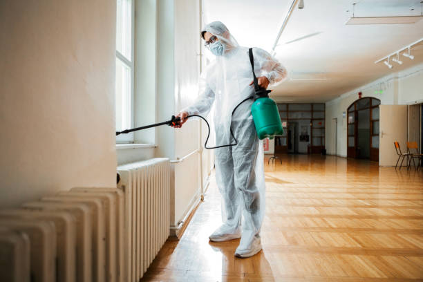 Best Affordable Pest Control Services  in Brillion, WI